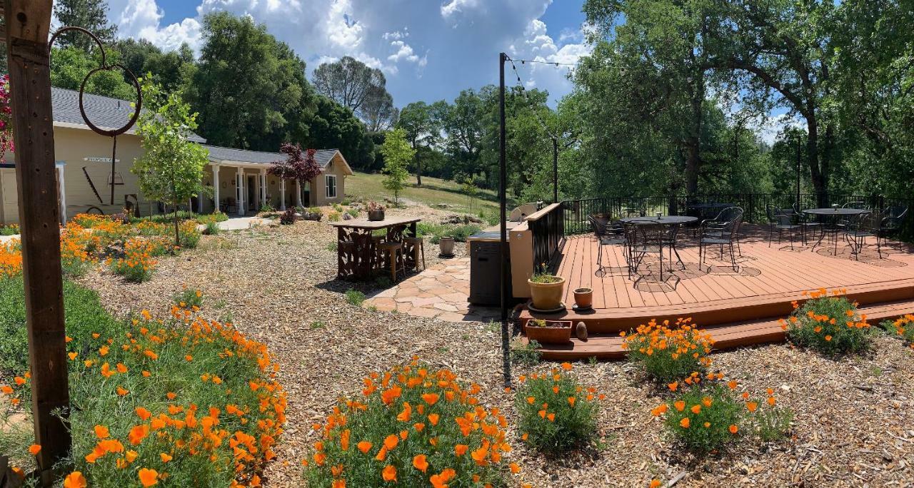 Bed and Breakfast Red Tail Ranch Groveland Exteriér fotografie